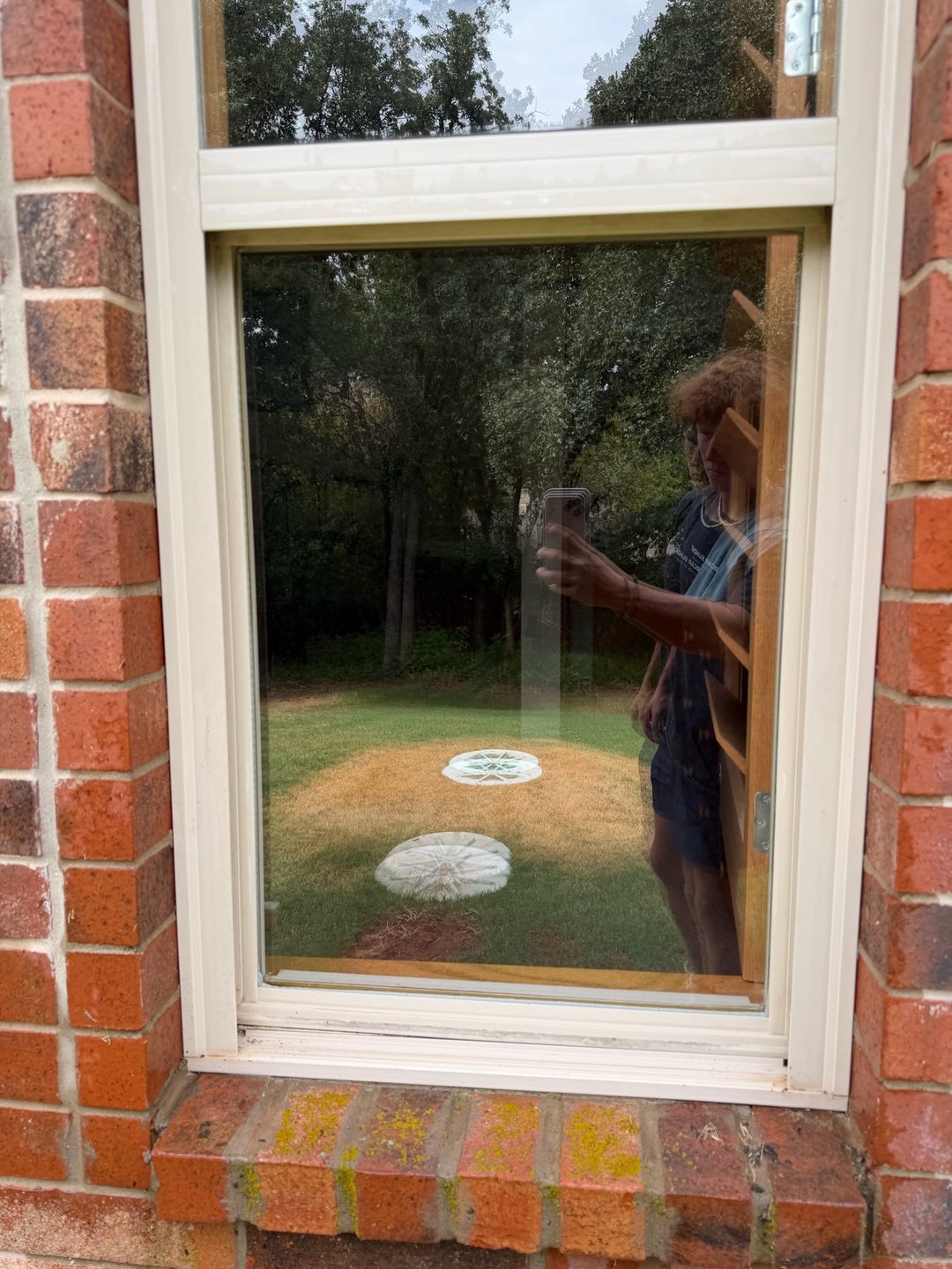 Exterior Window Cleaning after Green Window Cleaning service