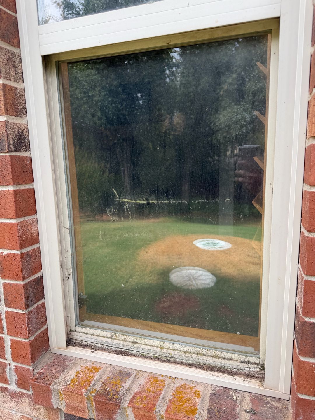 Exterior Window Cleaning before Green Window Cleaning service